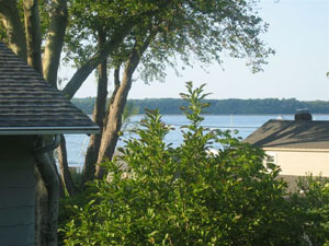 View from Deck